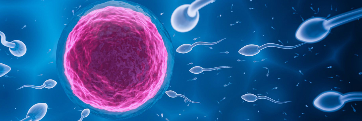 Common infertility signs Common infertility signs
