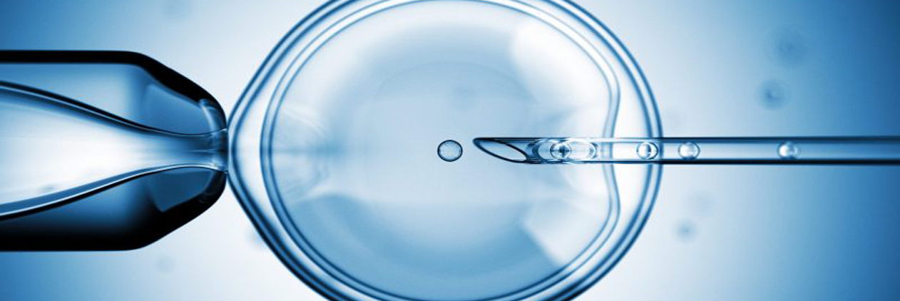 Do and don'ts after embryo transfer
