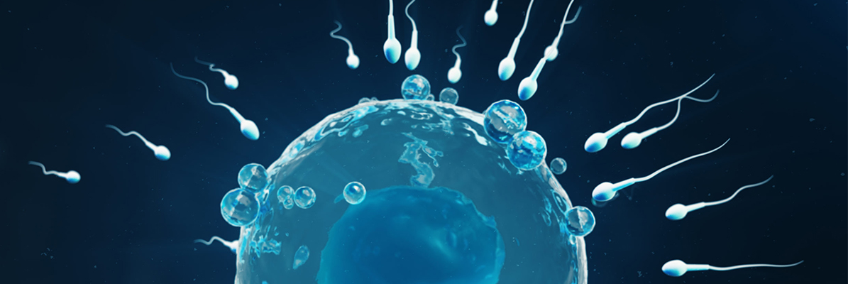 IVF a Guide To Overcome Infertility