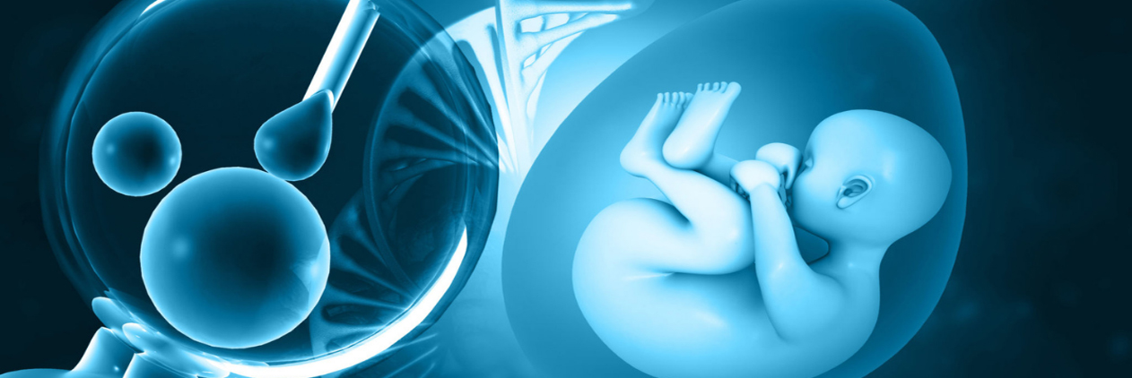 PROS and CONS of IVF PROS and CONS of IVF