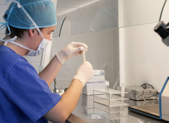 Specialized Sperm Function Test